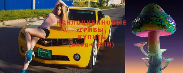 СК Слюдянка
