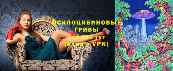 прущие грибы Беломорск
