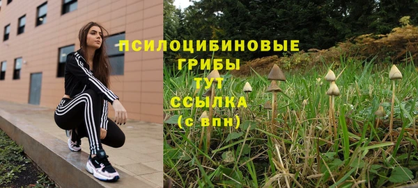 ГАЛЛЮЦИНОГЕННЫЕ ГРИБЫ Богородск