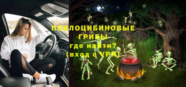 2c-b Богданович