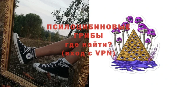 2c-b Богданович
