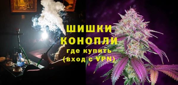 индика Бородино