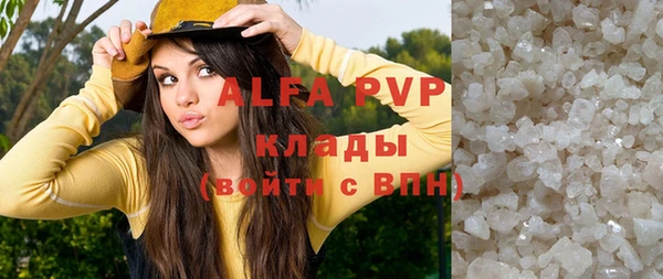 индика Бородино