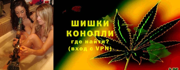 прущие грибы Беломорск